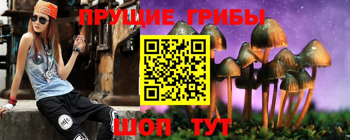 Галлюциногенные грибы Psilocybe  Вход с VPN  Губаха 